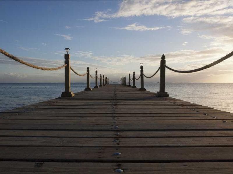 Students learning programming